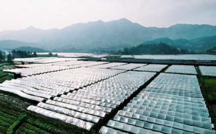 agriculture