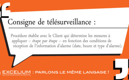 lexiqueConsigneDeTelesurveillance